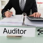Senior Executive - Audit